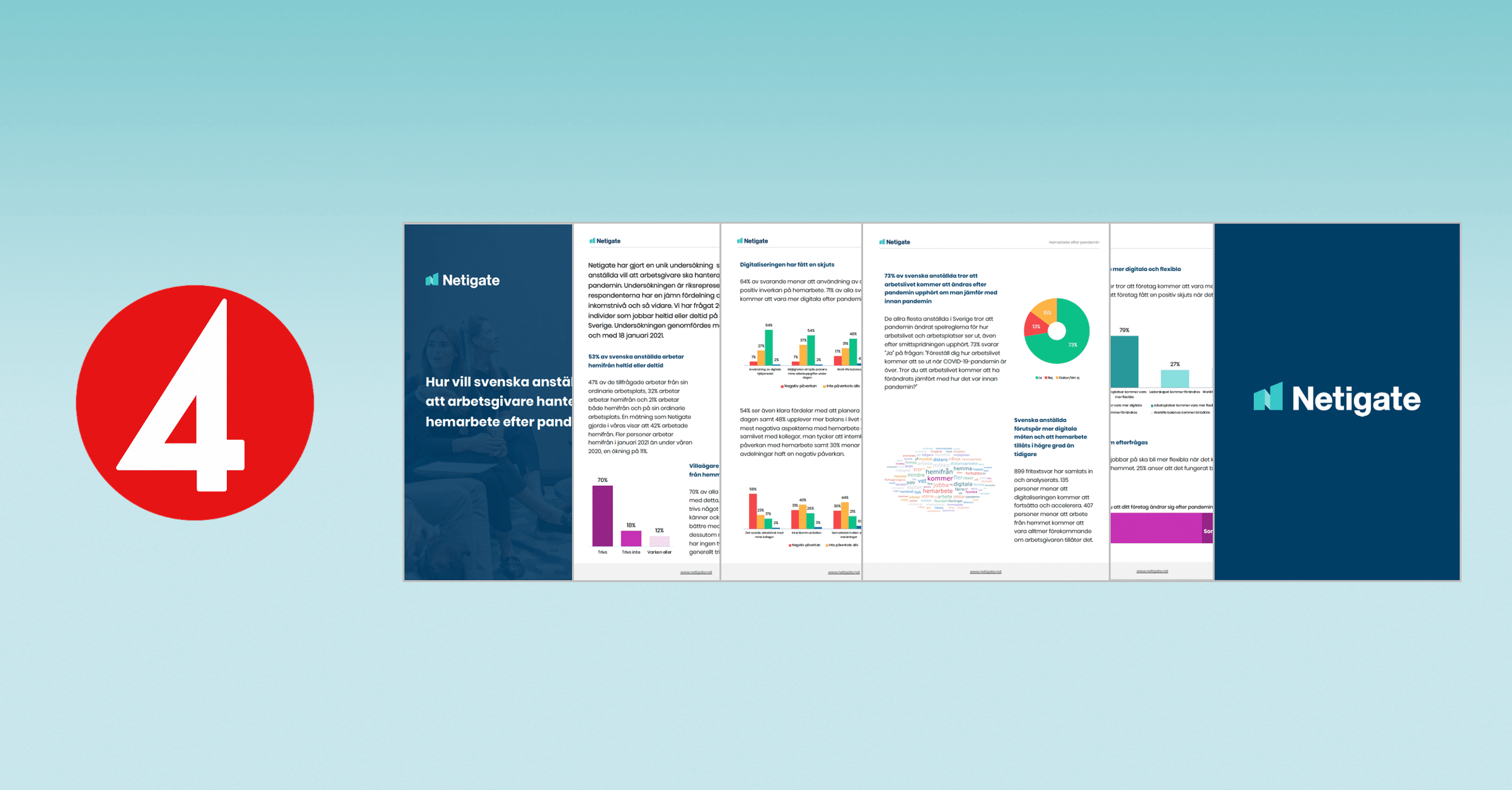 Working from Home report in Sweden