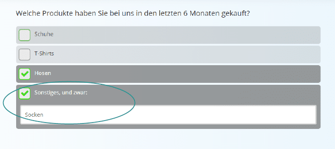 Halboffene Frage