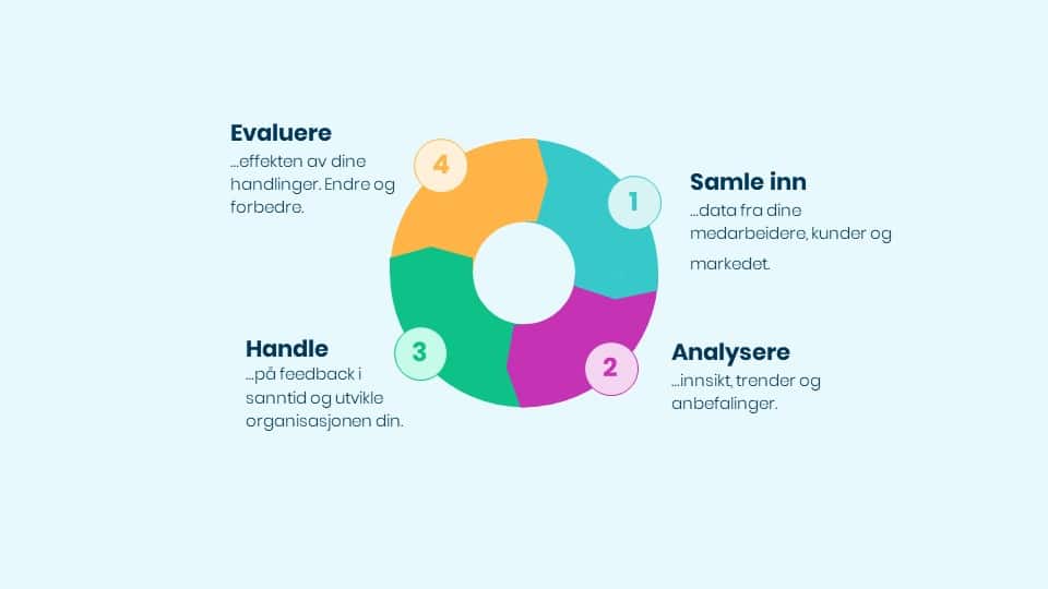 Struktur og prosess diagram