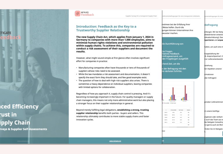 German Supply Chain Act. Full Fuide on how to master the new law with the help of supplier surveys