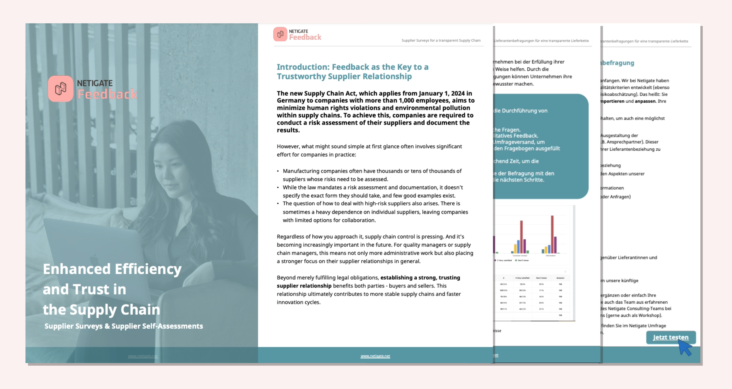 Mastering the German Supply Chain Act – with the help of supplier surveys